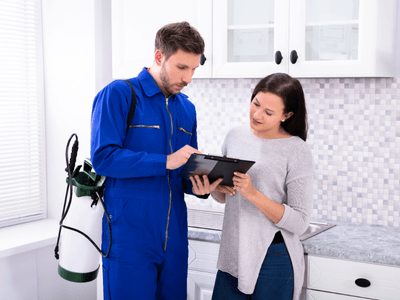 About Garland Flea Removal - flea removal experts in Garland